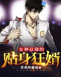 《女神总裁的贴身狂婿》