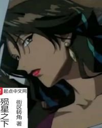 《殒星之下》