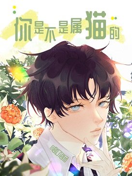 《你是不是属猫的》