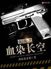《抗战之血染长空》