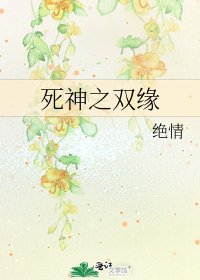 死神之双缘