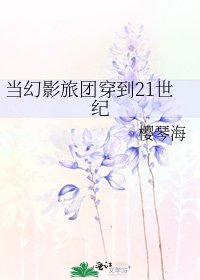 《当幻影旅团穿到21世纪》
