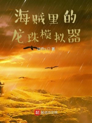海贼里的龙珠模拟器