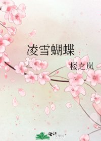 《凌雪蝴蝶》