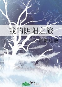 《我的阴阳之旅》