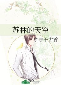 《苏林的天空》