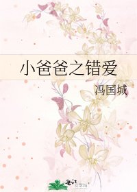 《小爸爸之错爱》