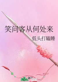 《笑问客从何处来》