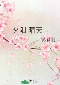 《夕阳 晴天》
