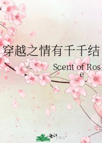 《穿越之情有千千结》