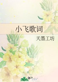 《小飞歌词》