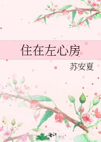 《住在左心房》
