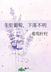 《冬至葡萄,下落不明》
