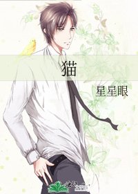 《猫》