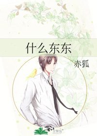 《什么东东》