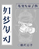 《如梦似幻》