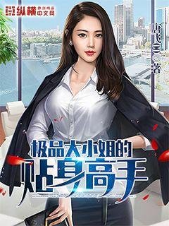 《极品大小姐的贴身高手》