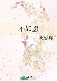 不如愿