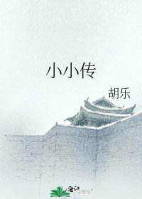 小小传