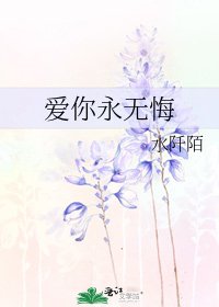 《爱你永无悔》
