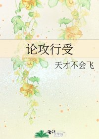 《论攻行受》