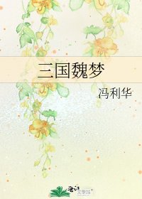 三国魏梦