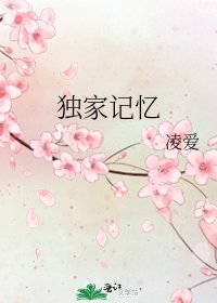 《独家记忆》