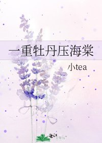 《一重牡丹压海棠》