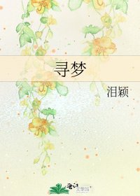 《寻梦》