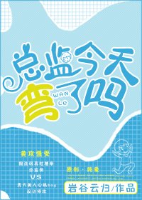 《总监今天弯了吗》