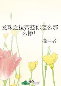 《龙珠之拉蒂兹你怎么那么惨!》