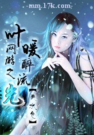 《网游之叶暖醉流光》
