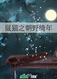 鼠猫之朝野绮年