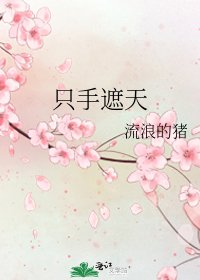 《只手遮天》