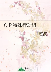 O.P.特殊行动组