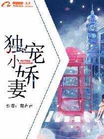 《独宠小娇妻:重生八零发大财》
