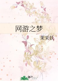 《网游之梦》