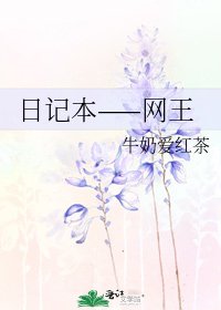 《日记本——网王》