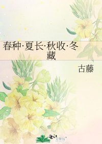 《春种·夏长·秋收·冬藏》