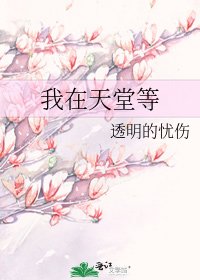 《我在天堂等》