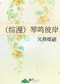 《(综漫)琴鸣彼岸》