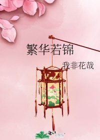 《繁华若锦》