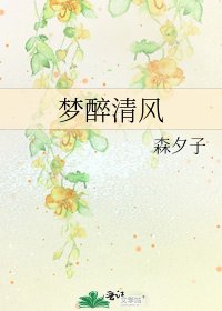 《梦醉清风》