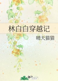《林白白穿越记》