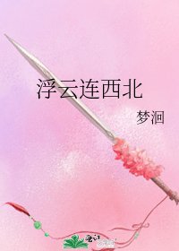 《浮云连西北》