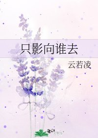 《只影向谁去》