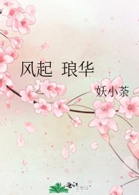 《风起 琅华》