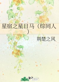 《星宿之星日马(综同人)》