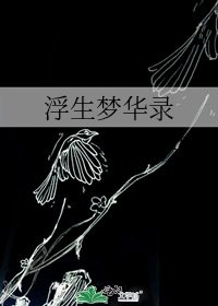 《浮生梦华录》
