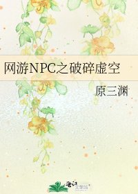 《网游NPC之破碎虚空》